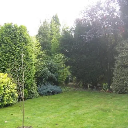 Front In Near Centre And Tue *