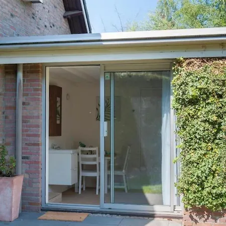 Front In Near Centre And Tue