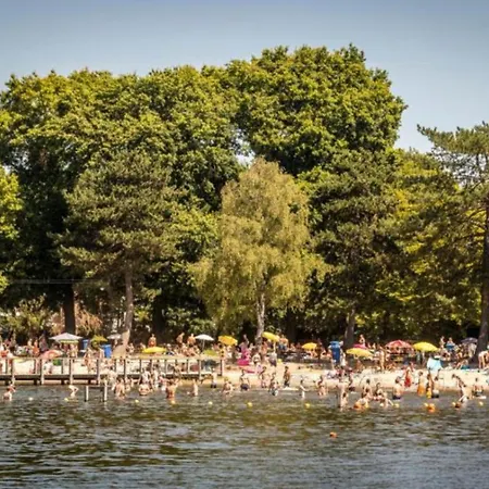 Front In Near Centre And Tue